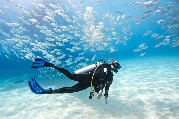 Diving and snorkeling in Hurghada Red Sea with colorful coral reefs and marine life